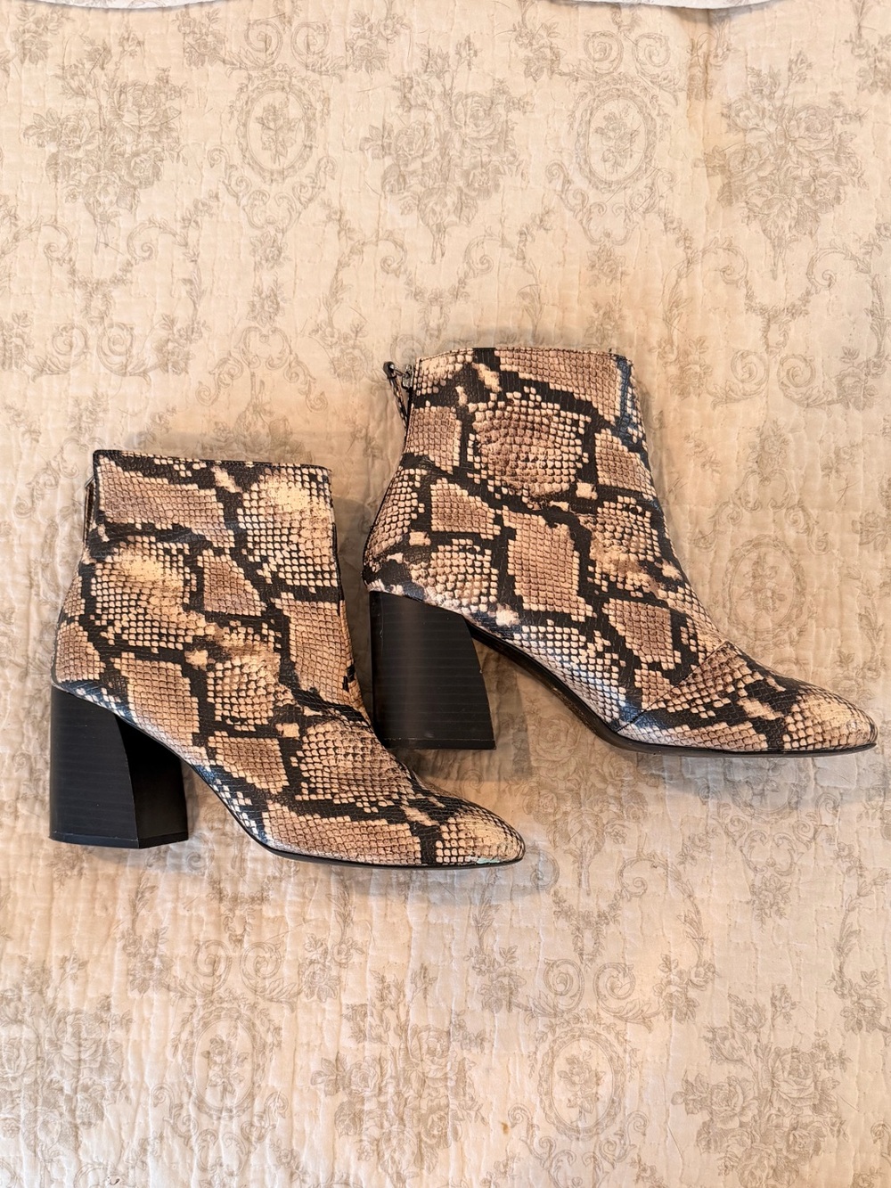 Qupid Snake-Print Block Heel Ankle Boots - Beige/Black